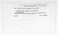 Kretzschmaria deusta image